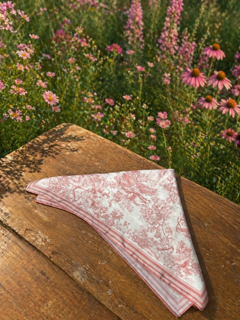 Pink Toile Cotton Scarf with Striped Border